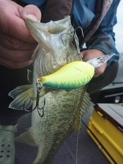 truth news ブログ写真 2014/10/12