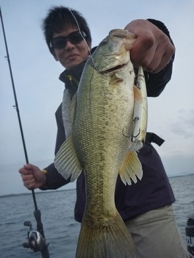 truth news ブログ写真 2014/10/12