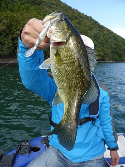 truth news ブログ写真 2014/10/15