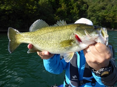 truth news ブログ写真 2014/10/15