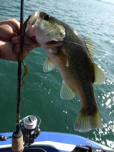 truth news ブログ写真 2014/10/15