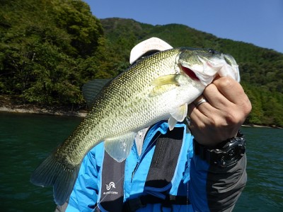 truth news ブログ写真 2014/10/15