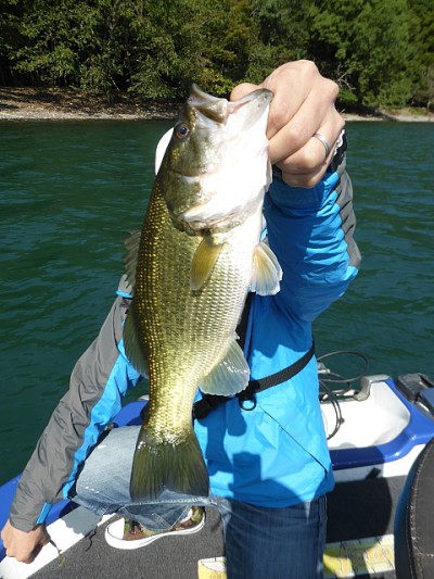 truth news ブログ写真 2014/10/15