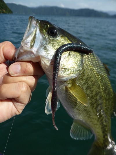 truth news ブログ写真 2014/10/15