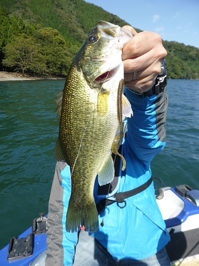 truth news ブログ写真 2014/10/15