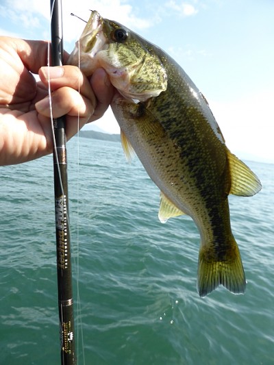 truth news ブログ写真 2014/10/15