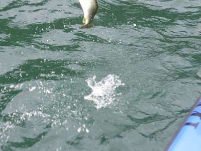 truth news ブログ写真 2014/10/15