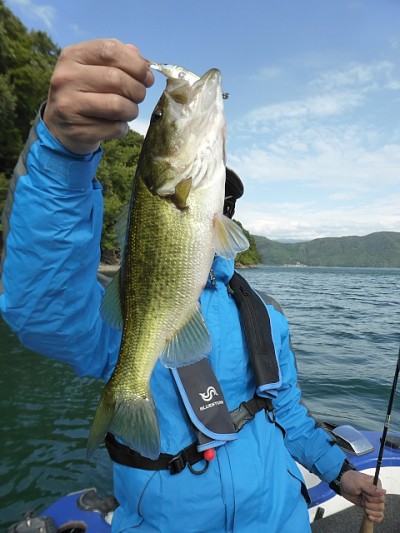 truth news ブログ写真 2014/10/15