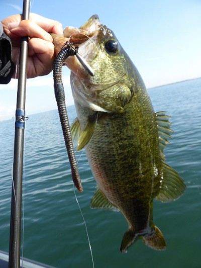 truth news ブログ写真 2014/10/16