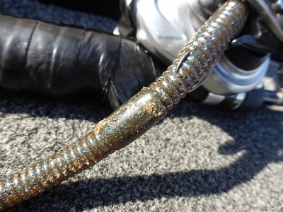 truth news ブログ写真 2014/10/16