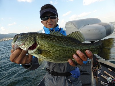 truth news ブログ写真 2014/10/16