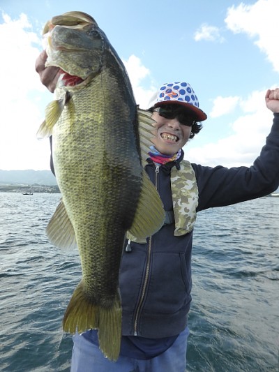 truth news ブログ写真 2014/10/17