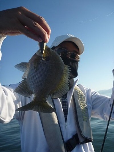 truth news ブログ写真 2014/10/18