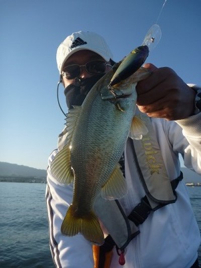 truth news ブログ写真 2014/10/18