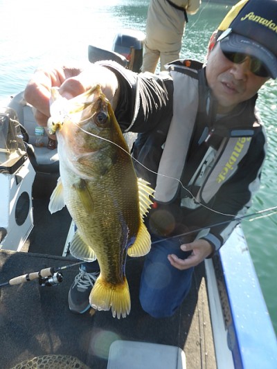 truth news ブログ写真 2014/10/18