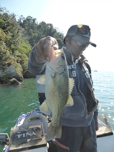 truth news ブログ写真 2014/10/20