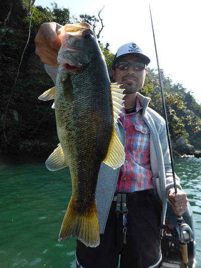 truth news ブログ写真 2014/10/20