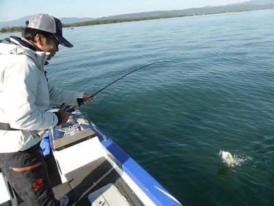 truth news ブログ写真 2014/10/20