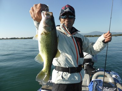 truth news ブログ写真 2014/10/20