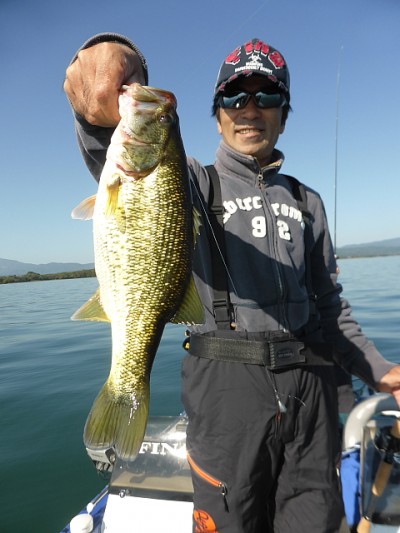 truth news ブログ写真 2014/10/20