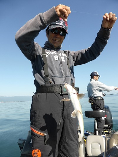 truth news ブログ写真 2014/10/20