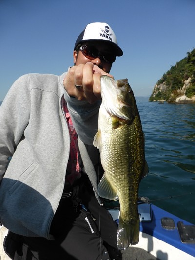 truth news ブログ写真 2014/10/20