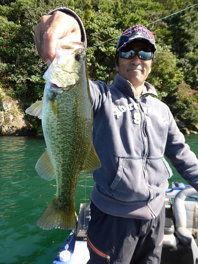 truth news ブログ写真 2014/10/20