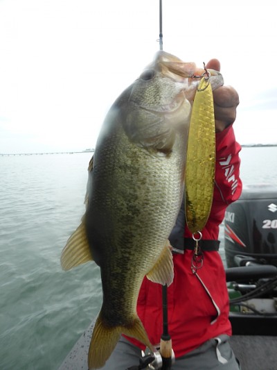 truth news ブログ写真 2014/10/21