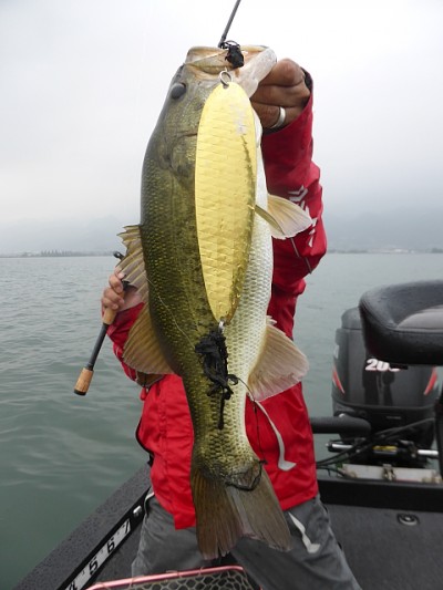 truth news ブログ写真 2014/10/21