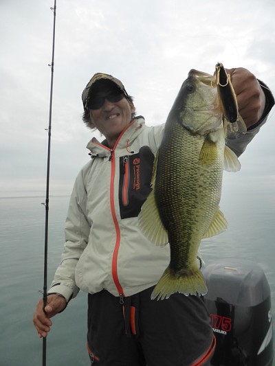 truth news ブログ写真 2014/10/22