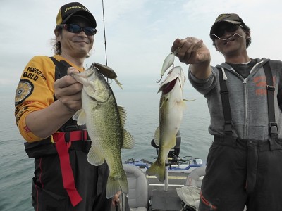 truth news ブログ写真 2014/10/22