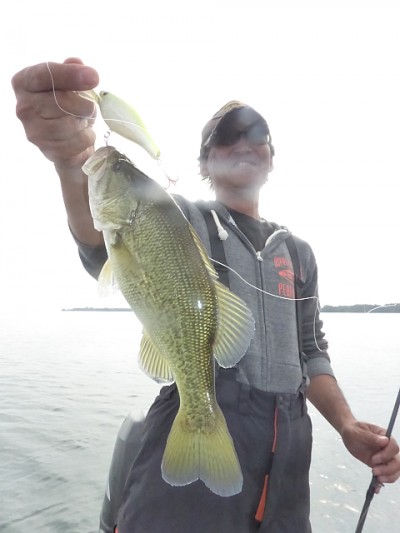 truth news ブログ写真 2014/10/22