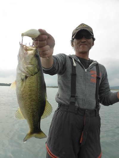 truth news ブログ写真 2014/10/22