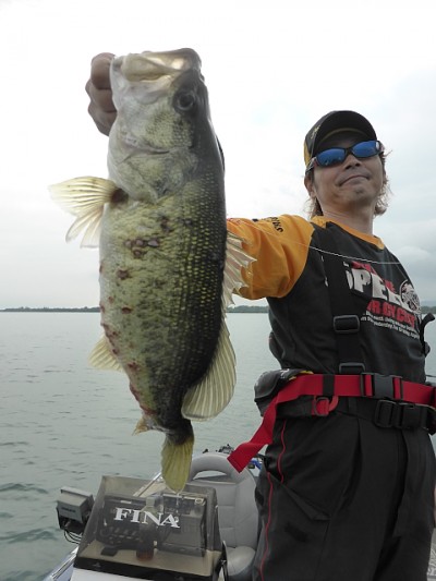 truth news ブログ写真 2014/10/22