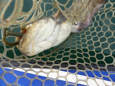 truth news ブログ写真 2014/10/22