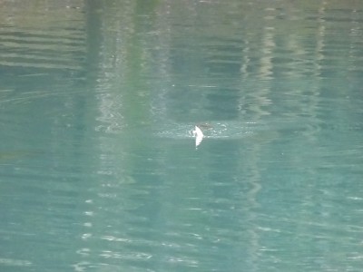 truth news ブログ写真 2014/10/22