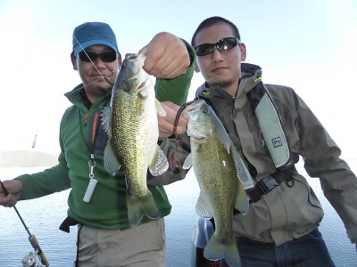 truth news ブログ写真 2014/10/24