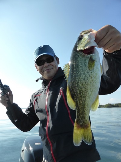 truth news ブログ写真 2014/10/24