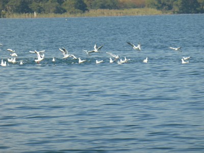 truth news ブログ写真 2014/10/24