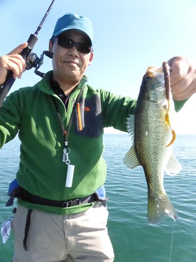 truth news ブログ写真 2014/10/24