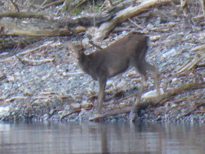 truth news ブログ写真 2014/10/24