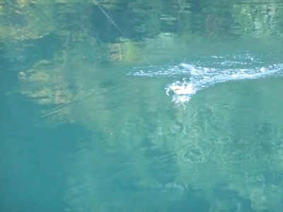 truth news ブログ写真 2014/10/24