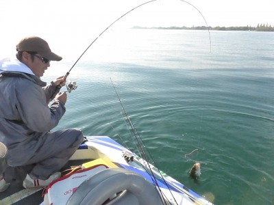 truth news ブログ写真 2014/10/25