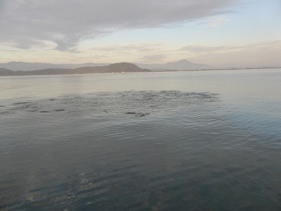 truth news ブログ写真 2014/10/25