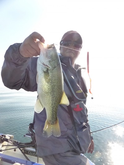 truth news ブログ写真 2014/10/25