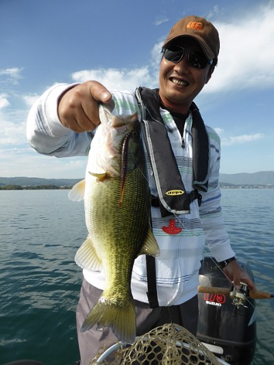 truth news ブログ写真 2014/10/25