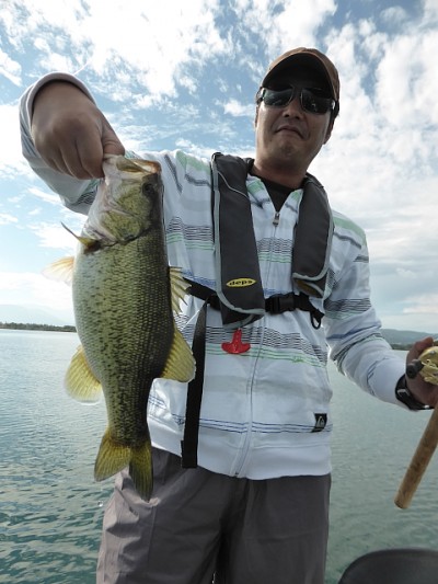 truth news ブログ写真 2014/10/25