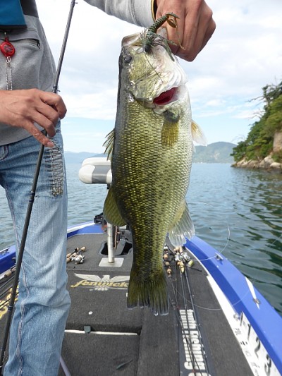 truth news ブログ写真 2014/10/25