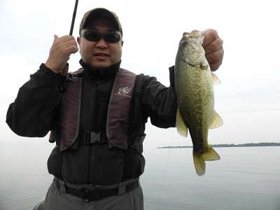 truth news ブログ写真 2014/11/01