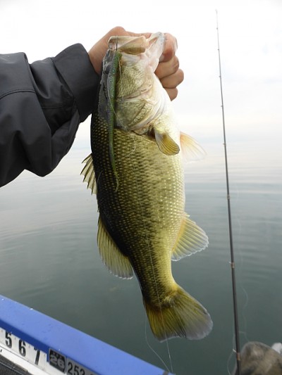 truth news ブログ写真 2014/11/01